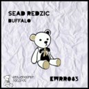 Sead Redzic - Minor