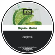 Taycan - Uludağ
