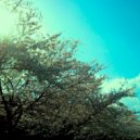 Hirotaka Shirotsubaki - 11:53 p.m. ()