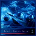 UUSVAN - Melodic Organic House