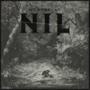 Fly Dying - Nil