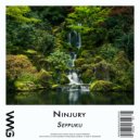 Ninjury - Want U Bad (Radio Mix 3)