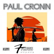 Paul Cronin - 7Flows, Pt. 2