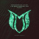 Roman Messer feat. Joe Jury - I\'ve Been Needing You (AxelPolo Extended Remix)