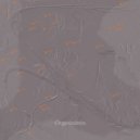 Organizatsiya - A shade of the Princess Z Castel ()