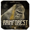 Rainforest - Shadow Work