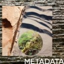 WATER - Metadata (Original Mix)