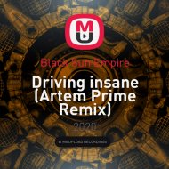 Black Sun Empire - Driving insane