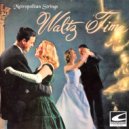 Metropolitan Strings - My Wild Irish Rose