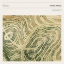 Tokyo Prose, Satl - Lights Down Low (Original Mix)