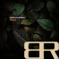 Pointless Animals - Rapture
