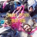 Golden Python - Sylvia