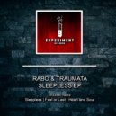 Rabo & Traumata - Heart And Soul (Original Mix)