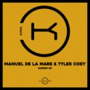 Manuel De La Mare & Tyler Coey - Mistery (Radio Edit)