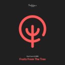 DV8 - Fruits From The Tree (Original Mix)