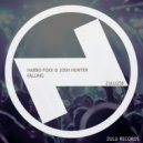 Habbo Foxx & Josh Hunter - Falling