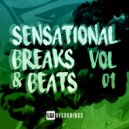 Zone 2 - The Girl From Bora Bora (Breakbeat Inst Mix)