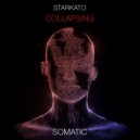 Starkato - In My Heart (Original Mix)