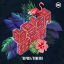 D-Sabber - Dragoon (Original Mix)