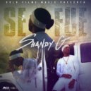 SHANDY G - Se Fue (Original Mix)