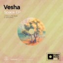 Vesha - Space Moss (Original Mix)