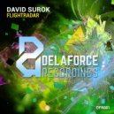 David Surok - Flightradar (Original Mix)