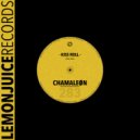 Chamaleøn - Kiss Roll (Original Mix)