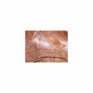 Mindfulness Healing BGM Project - Reversed phase and Hearing