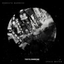 Ernesto Barrese - Space Water (Original Mix)