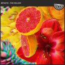 BETASTIC - The Hollow (Extended Mix)