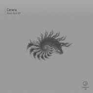 Carara - Night Patrol