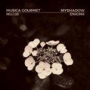 MyShadow - Enigma