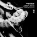 Dark Quadrant - Galactic Noise