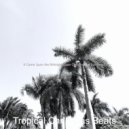 Tropical Christmas Beats - Christmas 2020 Ding Dong Merrily on High