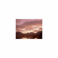 Mindfulness Healing BGM Project - Woods and Hearing