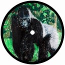PAWSA - WE MOVE