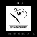 Linek - Turnübung (Original mix)