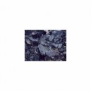 Mindfulness Healing BGM Project - Psyllium and Sensitivity (Sleep Mix)