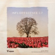 Travis Jesse - Between Time and Place