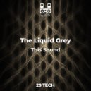 The Liquid Grey - Devils magic (Original)