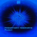 Predatory Meerkats - Resilient (Original Mix)