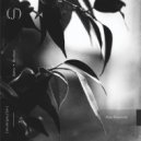 Andrew Tasselmyer - Quiet Hours (Original Mix)