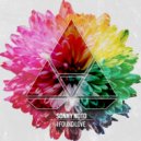 Sonny Noto - I Found Love (Radio Edit)