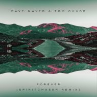 Dave Mayer & Tom Chubb - Forever