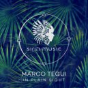 Marco Tegui - Chaising The Sun (Original Mix)