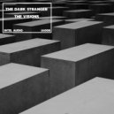 The Dark Stranger - The Visions