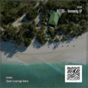 RIZZER - Disco Shine (Original Mix)