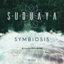 I.M.D & Suduaya - Brise de Vie (Original Mix)