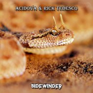Acidova & Rick Tedesco - Sidewinder