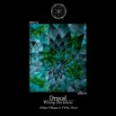 Drucal - Feil (Felipe VIllegas Remix)